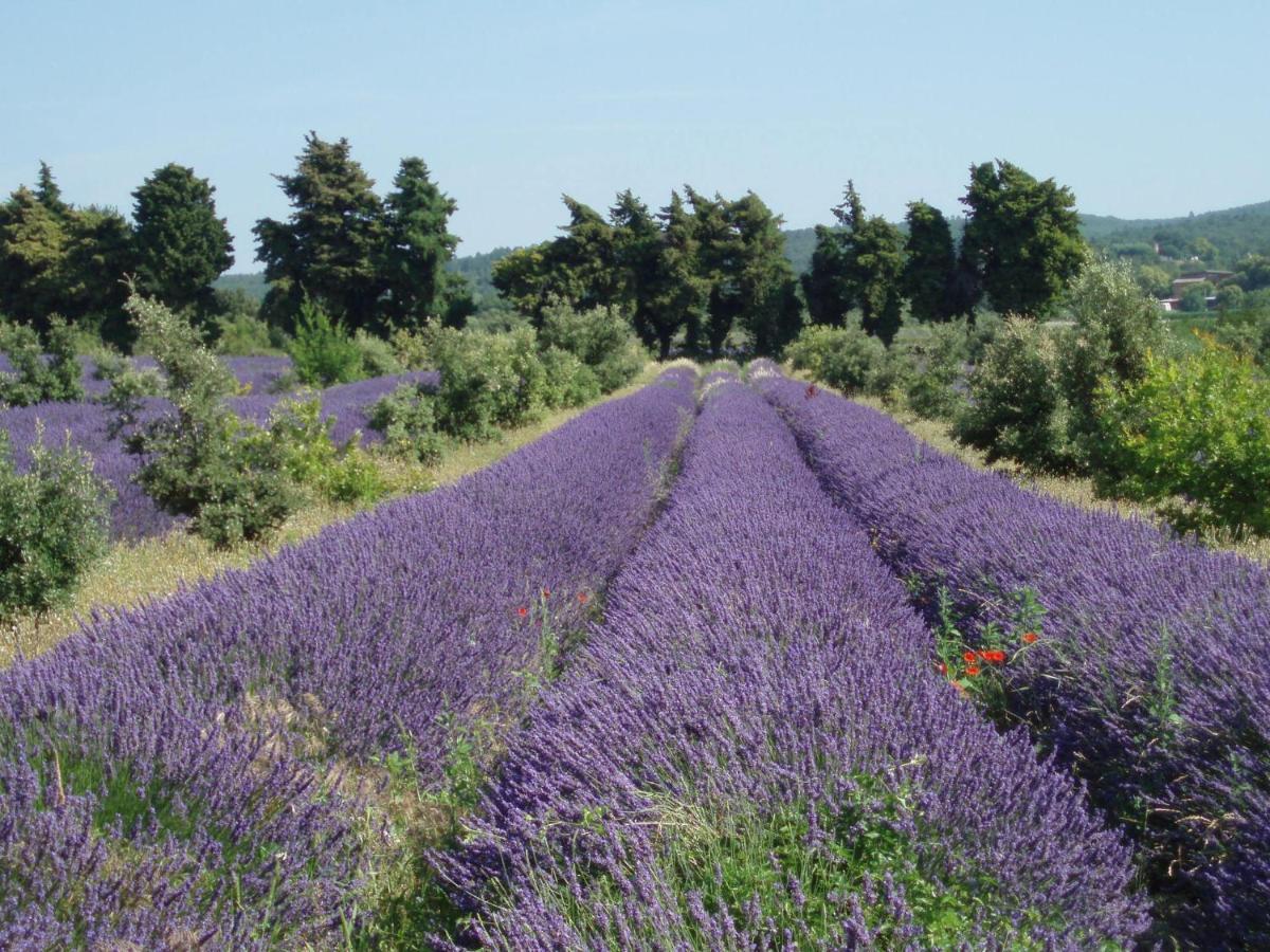 Clos Des 3 Ruisseaux Taulignan Exterior foto